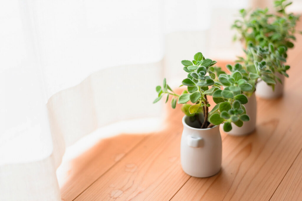 家事が回らない毎日で気づいた、やめてよかったこと5つ